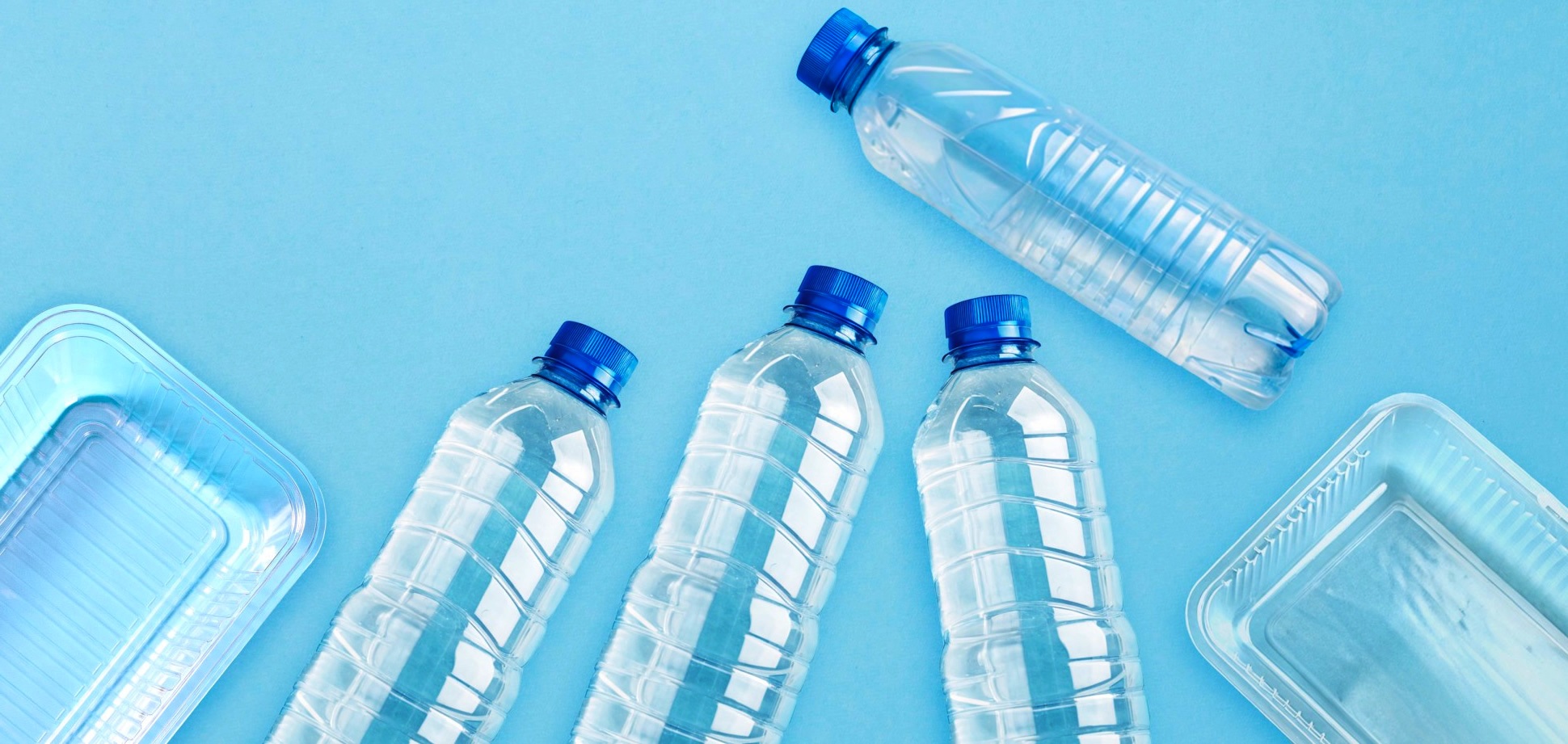 slshow-112-petcore-europe