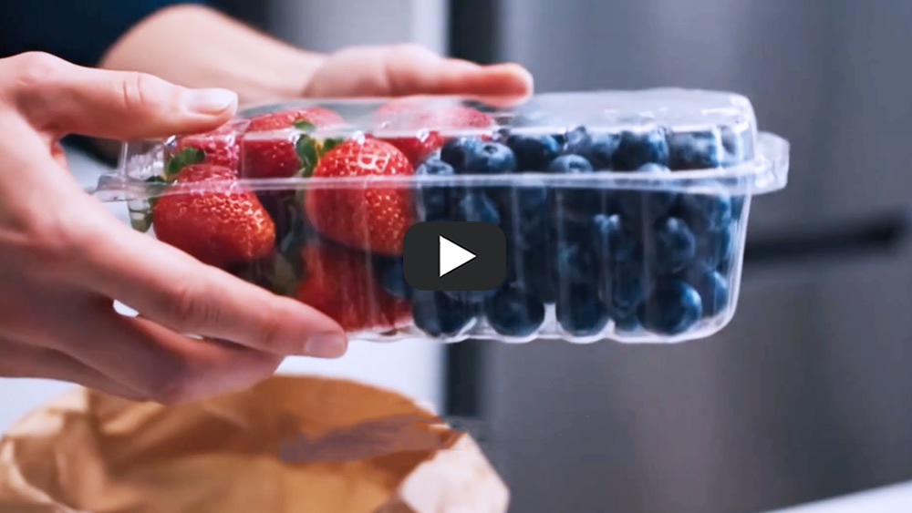 How Packaging Helps Cut Food Waste | The Role of PET trays